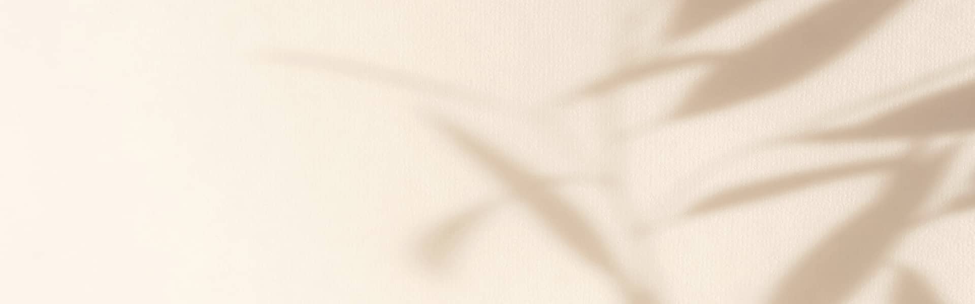 PJM Generic Banner